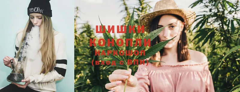 ссылка на мегу зеркало  Мичуринск  Шишки марихуана Ganja  купить  